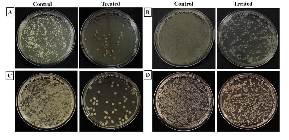 E-Coli infection samples
