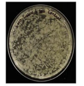 Human infected tissue control