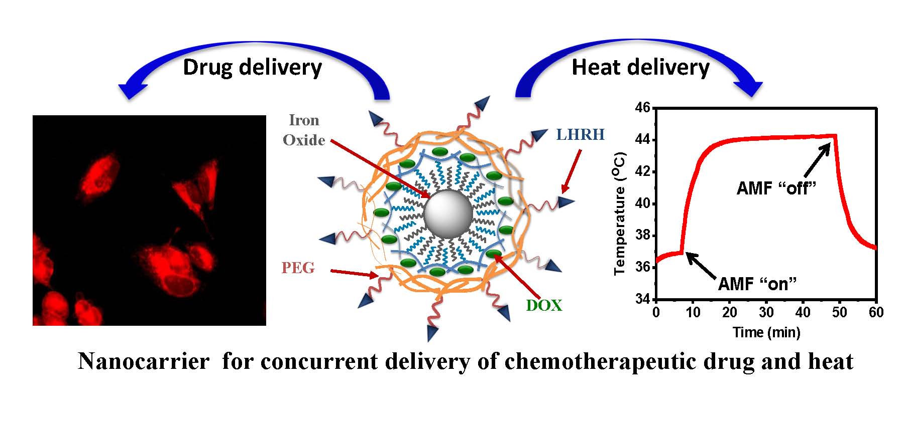 Nanocarrier for concurrent delivery of chemotherapeutic drug and heat